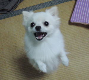 blog-pho-019-2