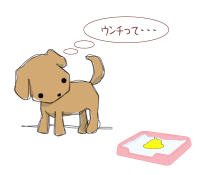 食糞って・・・