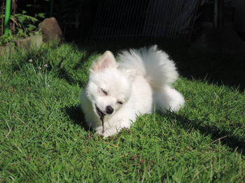 blog-pho-005-1