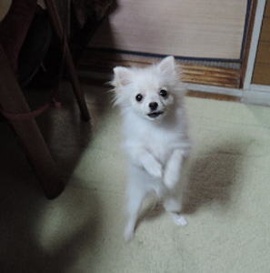 blog-pose-336-2