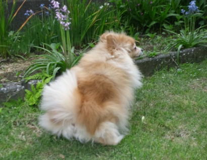 blog-pose-237