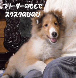 のびのび