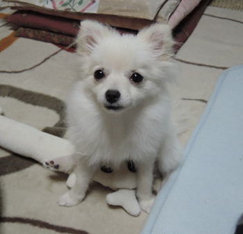 blog-pose-358