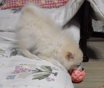 blog-pose-324-2