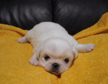 blog-pose-335-3