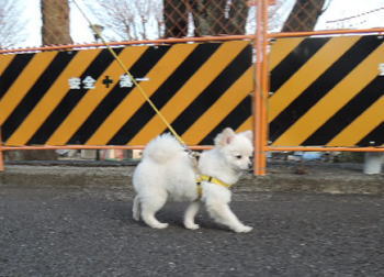 blog-pho-049-1