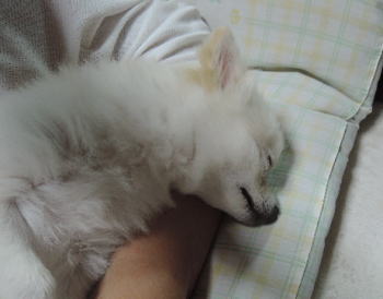 blog-pho-067-4