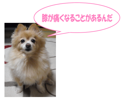 膝関節痛