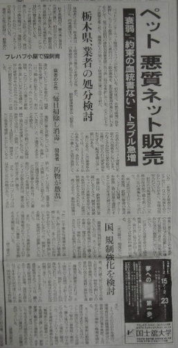 朝日新聞」