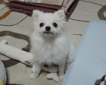 blog-pose-361