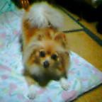 4d990457.jpg
