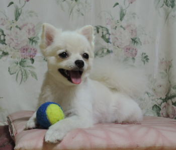 blog-pho-003-2