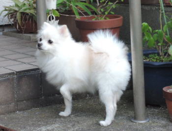 blog-pho-070-1