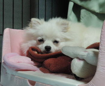 blog-pose-415-2