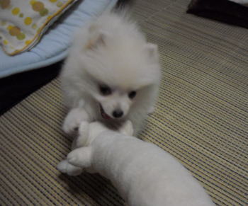 blog-pose-281-3