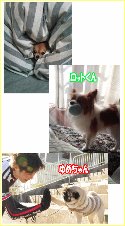 幸せ♪