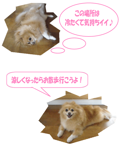暑いけど・・・