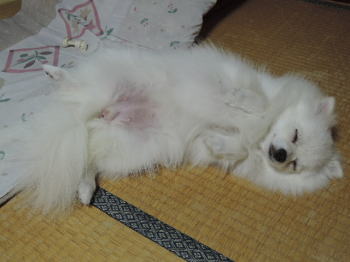 blog-pose-417-1