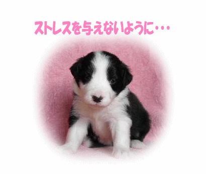 ストレスはダメ