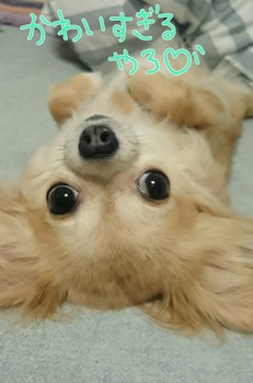 1410151825477