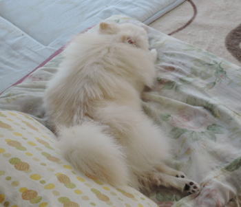 blog-pose-399-2