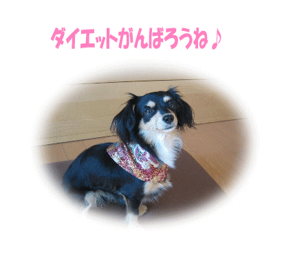 まゆちゃん♪