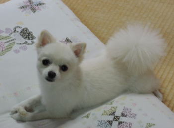 blog-pho-027-1