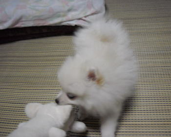 blog-pose-281-4