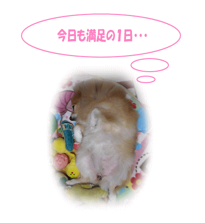 今日も満足