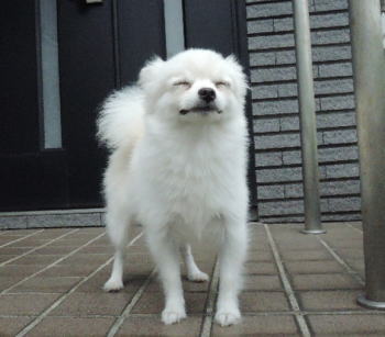 blog-pho-009-1