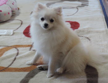 blog-pose-399-1