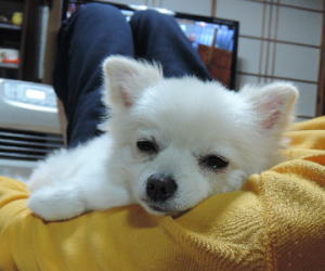 blog-pho-041-2
