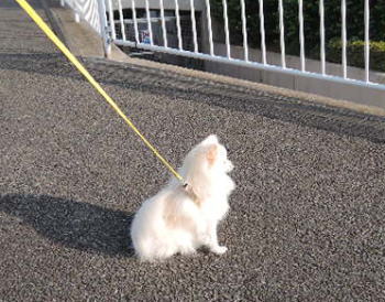 blog-pose-413-1