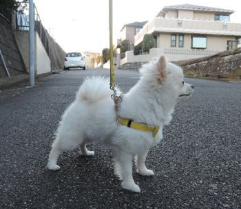 blog-pho-050-1