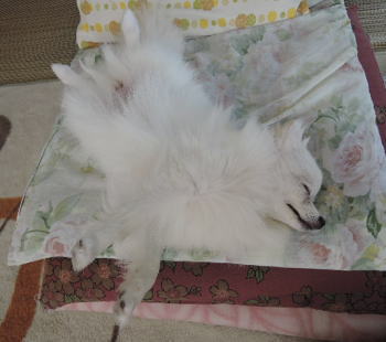 blog-pose-402-1