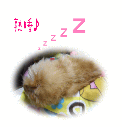 熟睡