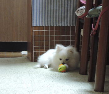 blog-pose-382