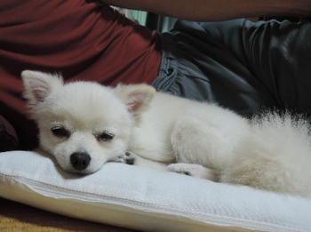 blog-pho-027-2