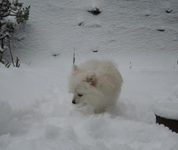 blog-pose-393-5