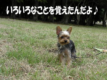 モコちゃん