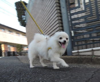blog-pho-040-2