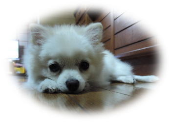 blog-pho-017