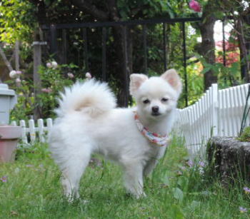 blog-pho-061-1