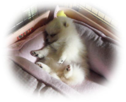 blog-pose-262