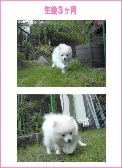 blog-pose-299-3