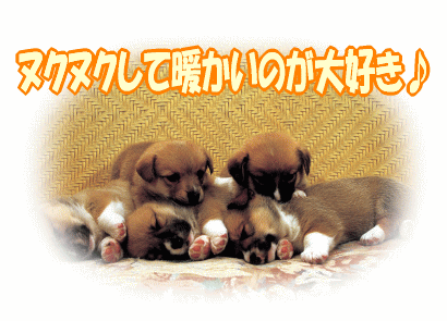 暖かい