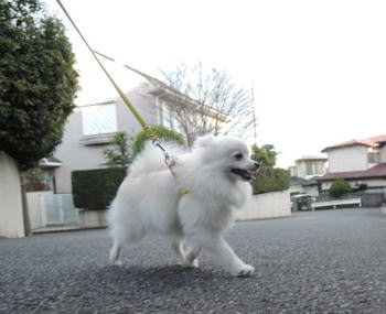 blog-pose-383