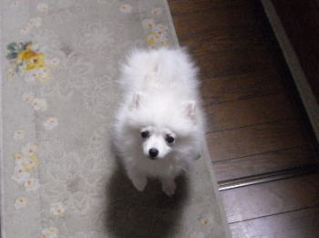 blog-pose-308
