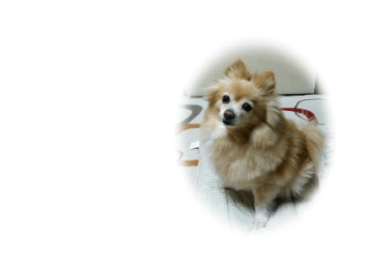 モモ