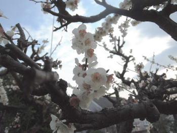 blog-pho-052-3